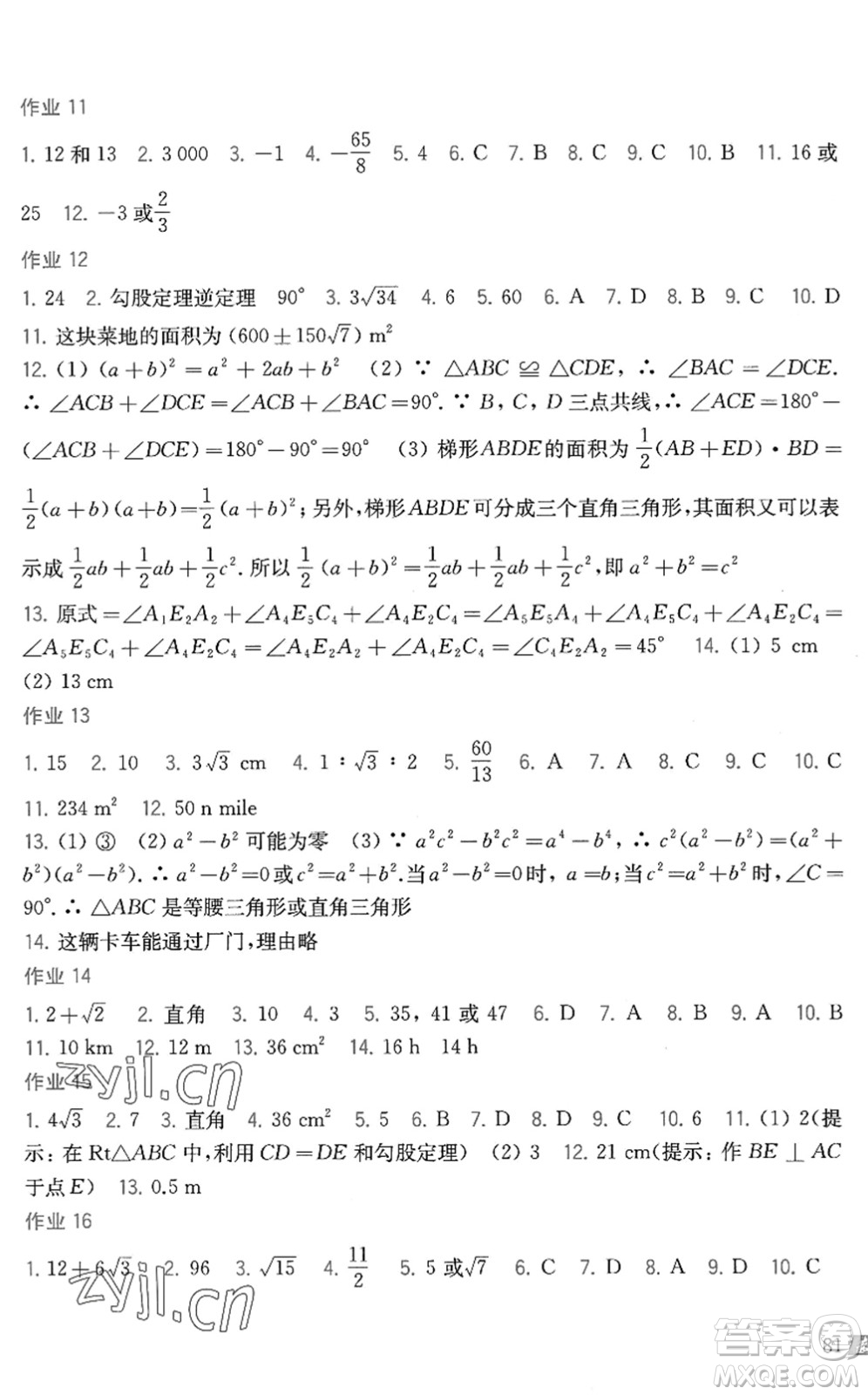 上海科學(xué)技術(shù)出版社2022暑假作業(yè)八年級數(shù)學(xué)滬科版答案