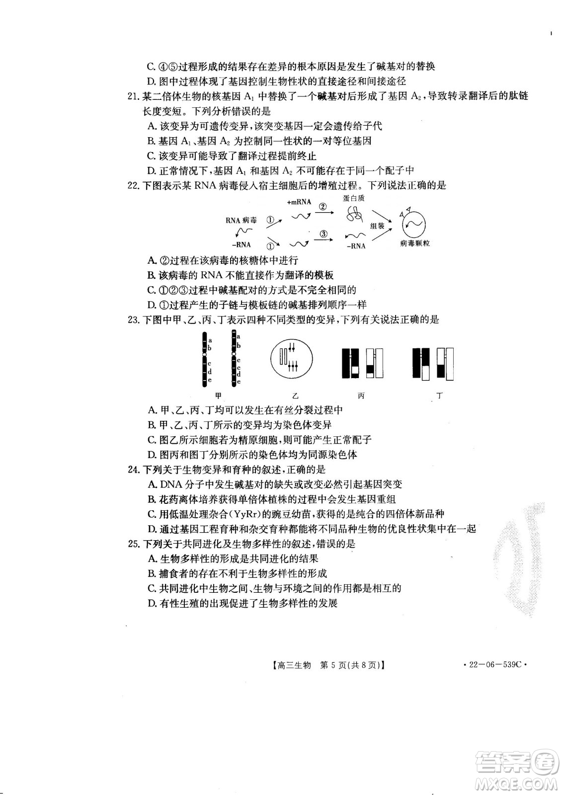 洛陽創(chuàng)新發(fā)展聯(lián)盟2023屆高三摸底考試生物試題及答案
