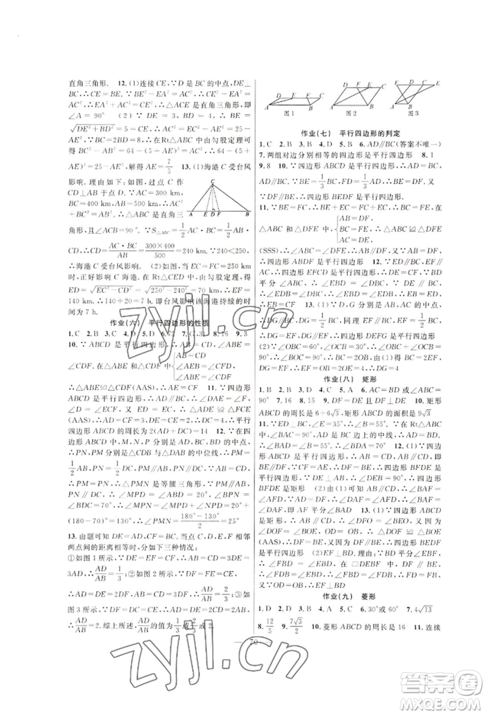 新疆青少年出版社2022高效課堂暑假作業(yè)八年級(jí)數(shù)學(xué)通用版參考答案