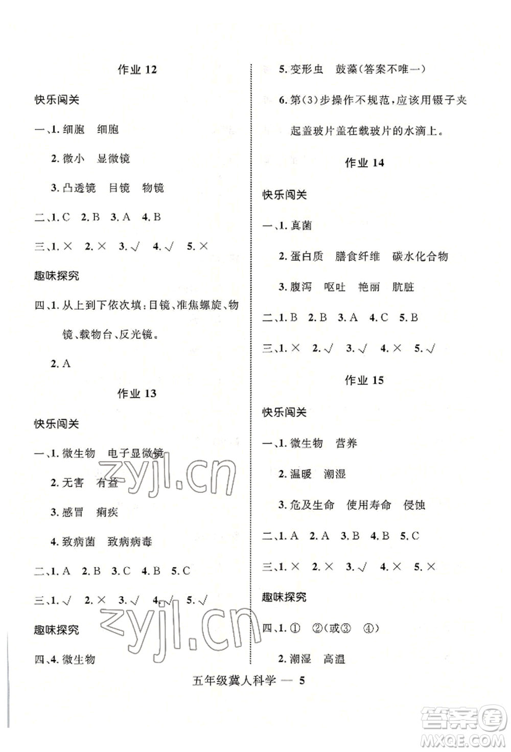 河北少年兒童出版社2022贏在起跑線小學生快樂暑假五年級科學冀人版參考答案