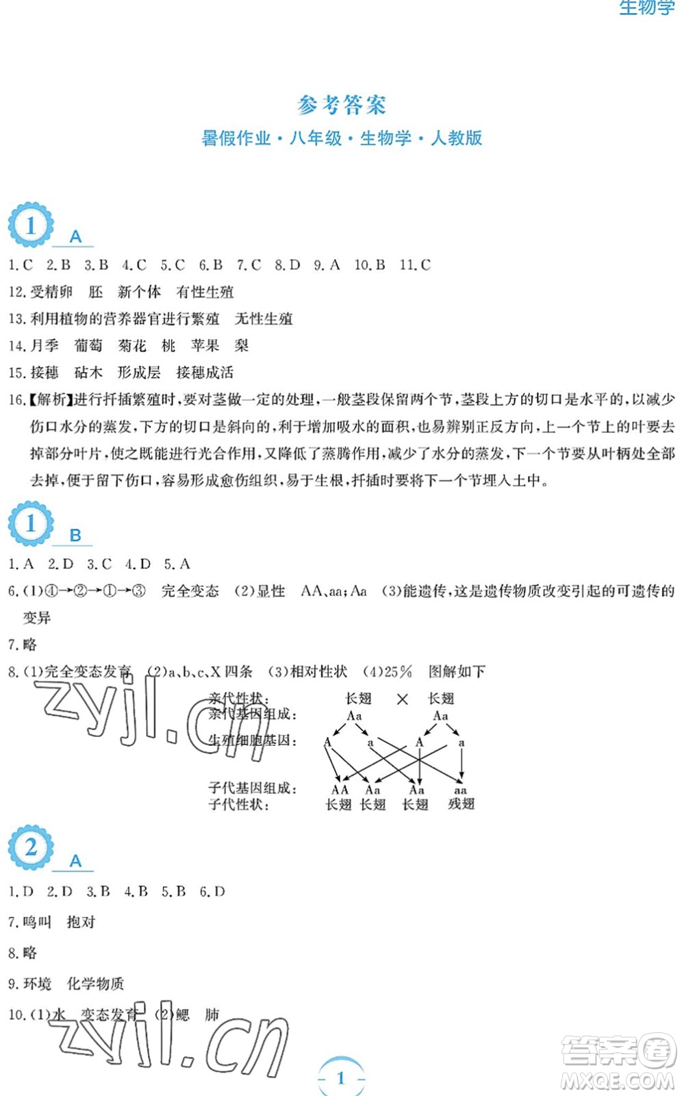 安徽教育出版社2022暑假作業(yè)八年級生物人教版答案
