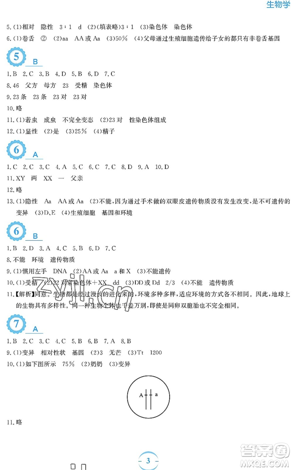 安徽教育出版社2022暑假作業(yè)八年級生物人教版答案