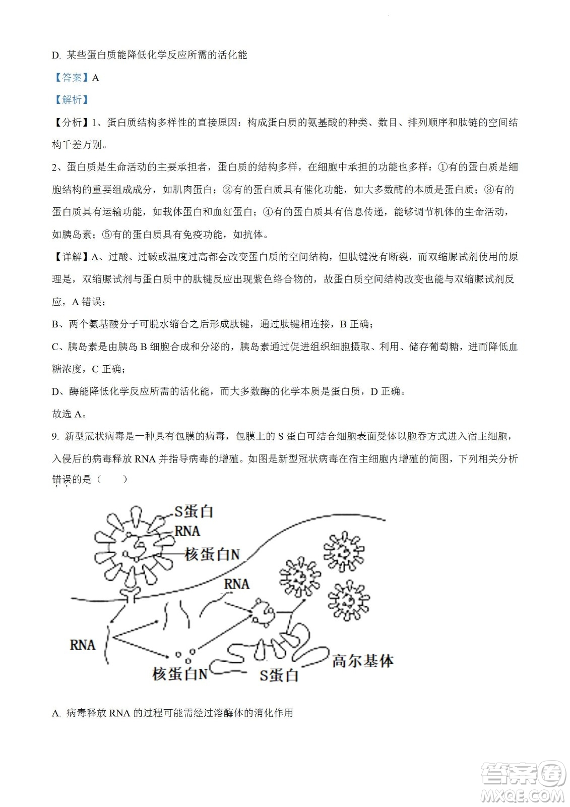 河南洛陽(yáng)市強(qiáng)基聯(lián)盟23屆新高三摸底大聯(lián)考生物試題及答案