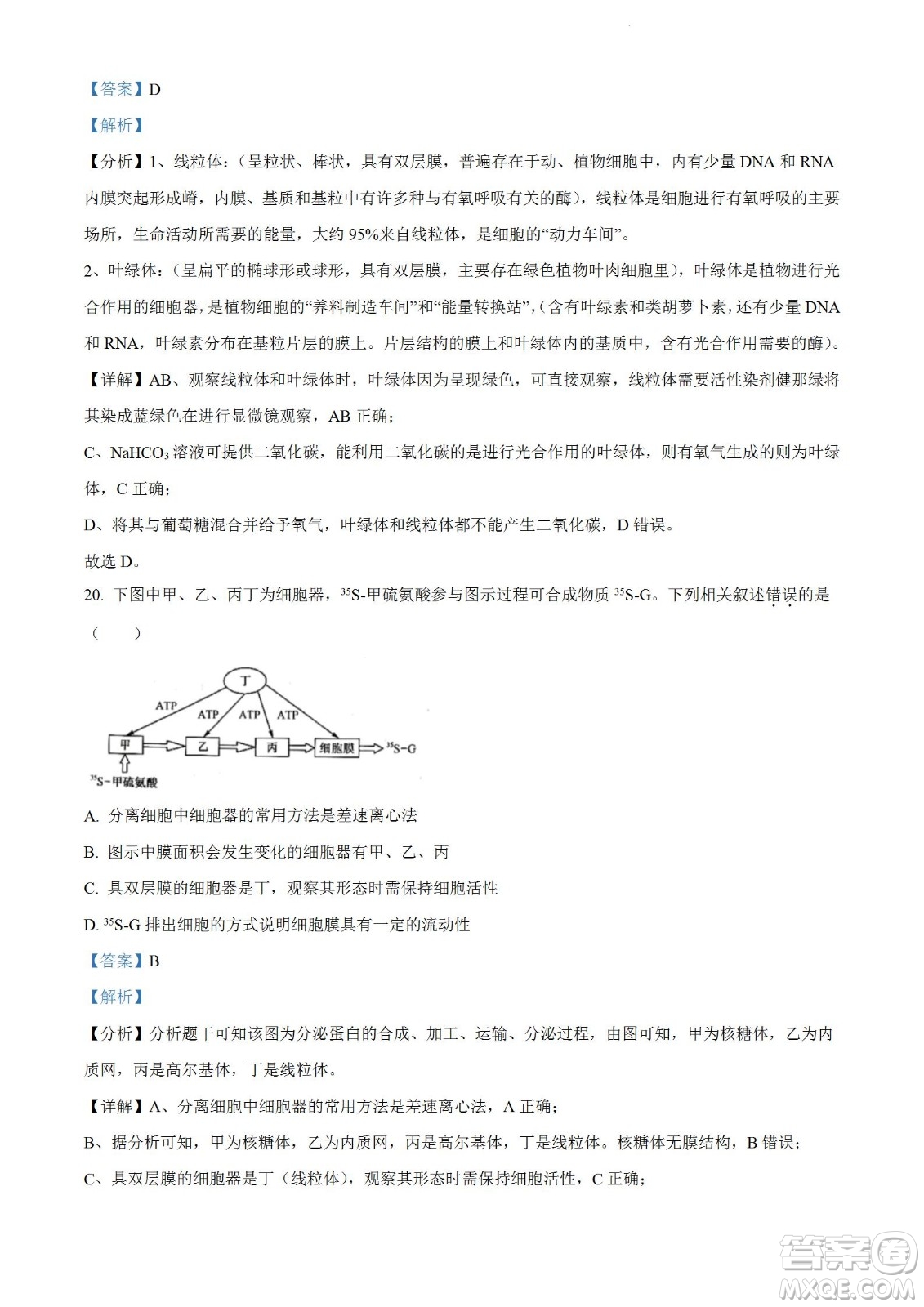河南洛陽(yáng)市強(qiáng)基聯(lián)盟23屆新高三摸底大聯(lián)考生物試題及答案
