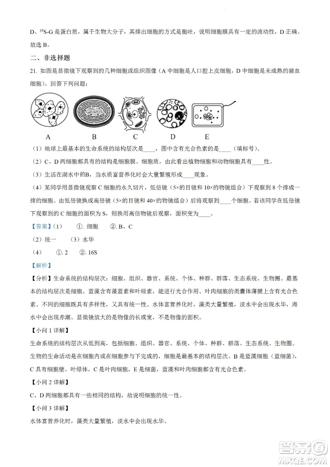 河南洛陽(yáng)市強(qiáng)基聯(lián)盟23屆新高三摸底大聯(lián)考生物試題及答案