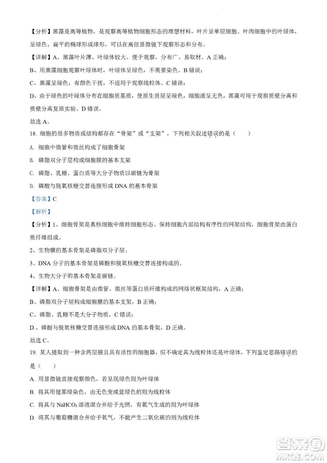 河南洛陽(yáng)市強(qiáng)基聯(lián)盟23屆新高三摸底大聯(lián)考生物試題及答案