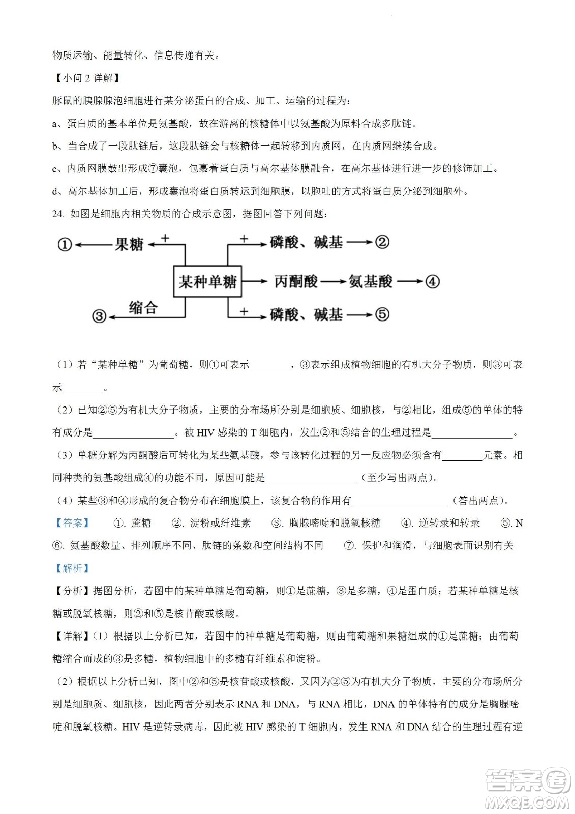 河南洛陽(yáng)市強(qiáng)基聯(lián)盟23屆新高三摸底大聯(lián)考生物試題及答案