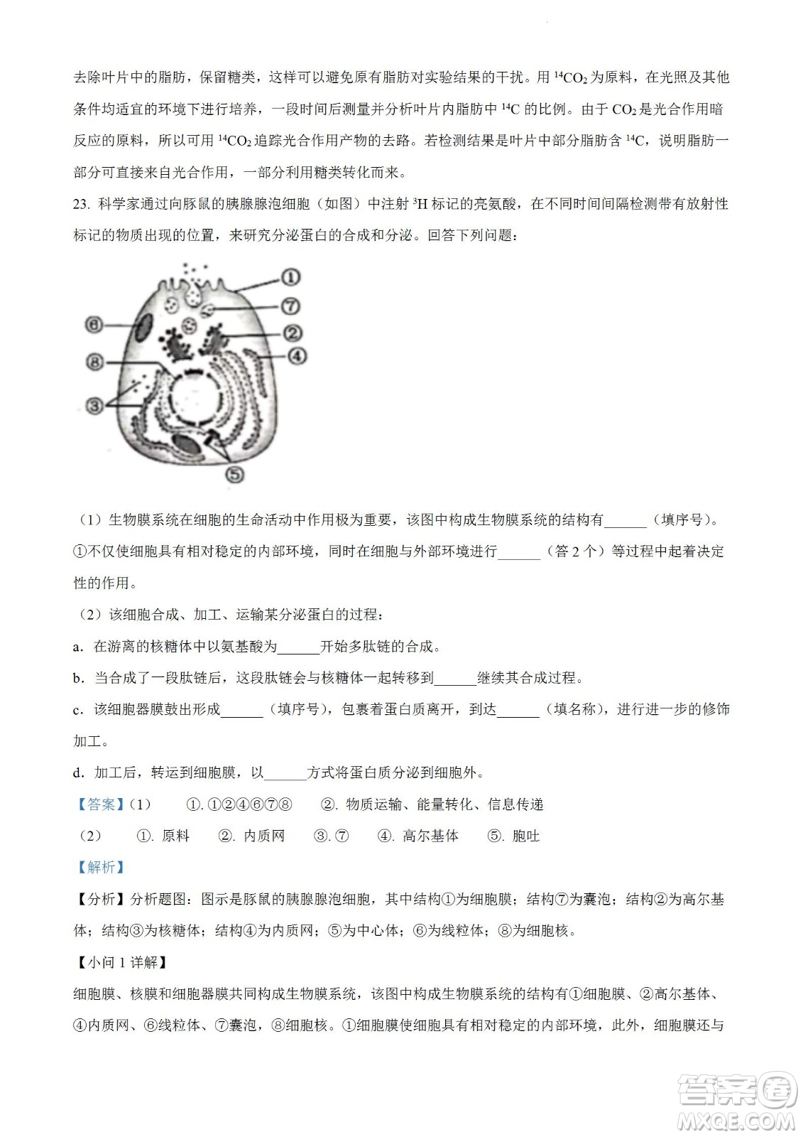 河南洛陽(yáng)市強(qiáng)基聯(lián)盟23屆新高三摸底大聯(lián)考生物試題及答案