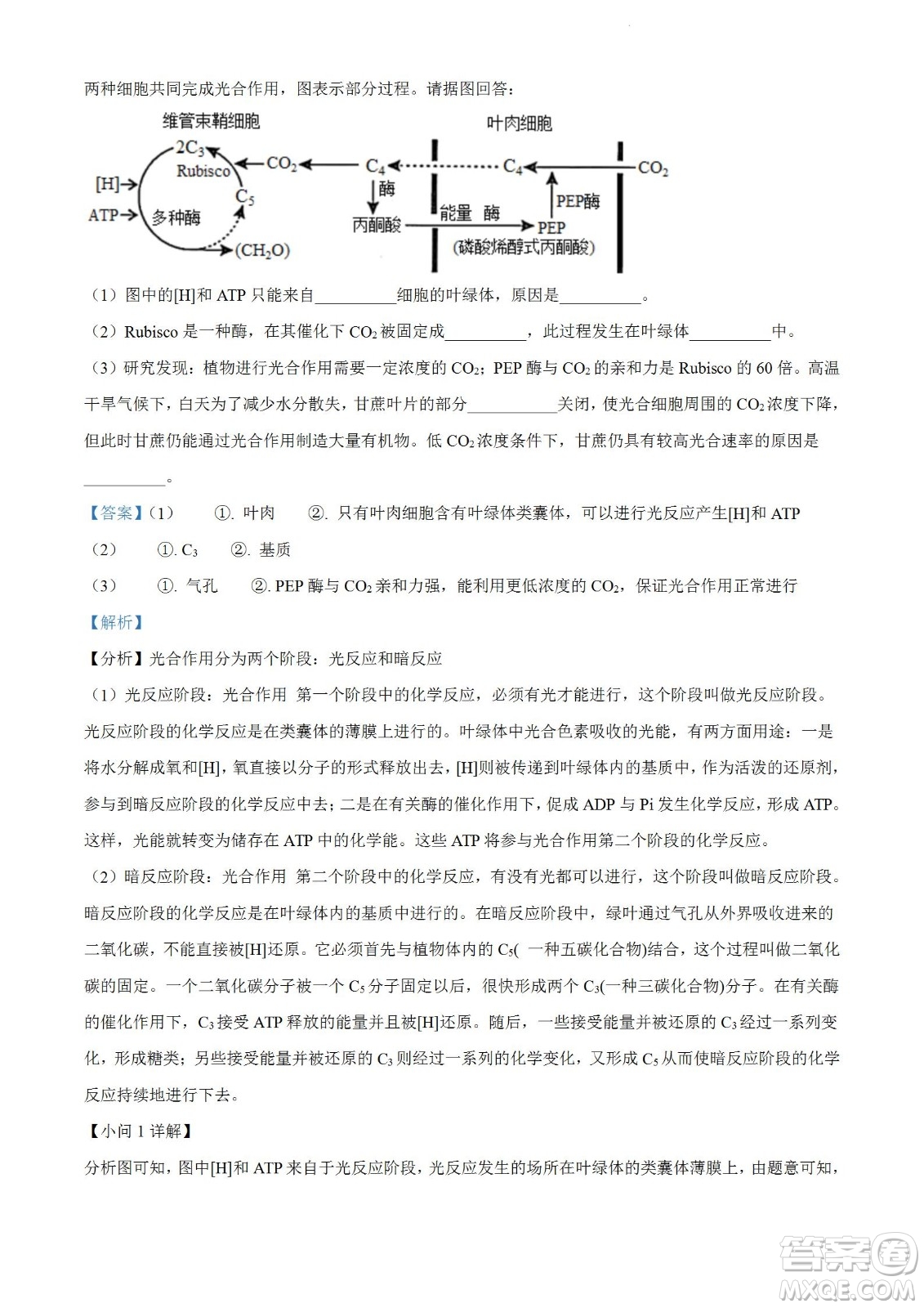 柳州市2023屆新高三摸底考試生物試題及答案