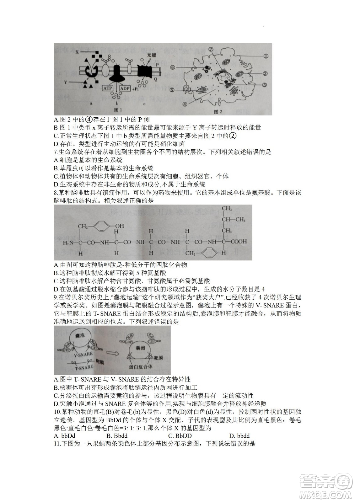 湖南省長郡中學(xué)2021-2022學(xué)年高二下學(xué)期期末考試生物試題及答案