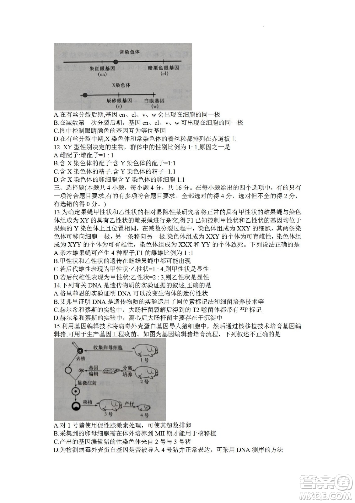 湖南省長郡中學(xué)2021-2022學(xué)年高二下學(xué)期期末考試生物試題及答案