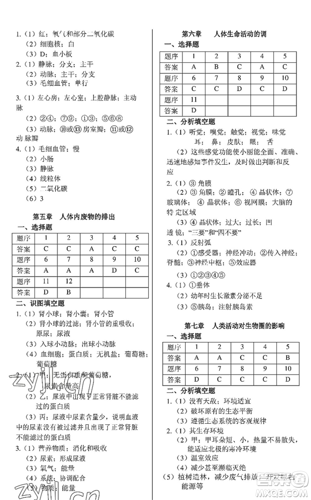 中西書(shū)局2022精彩假期暑假篇七年級(jí)合訂本通用版答案