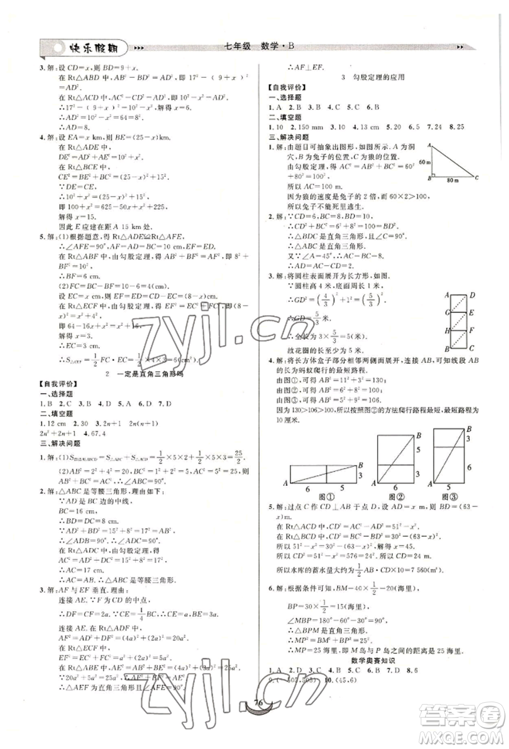 四川師范大學(xué)電子出版社2022快樂假期走進(jìn)名校培優(yōu)訓(xùn)練銜接教材暑假七升八數(shù)學(xué)北師大版參考答案