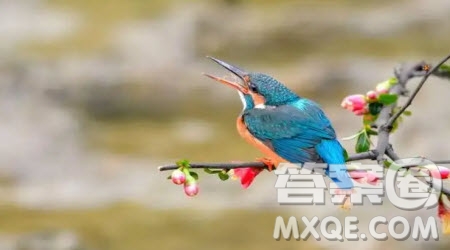 我與家鄉(xiāng)共成長實(shí)踐活動心得體會 我與家鄉(xiāng)共成長社會實(shí)踐心得體會