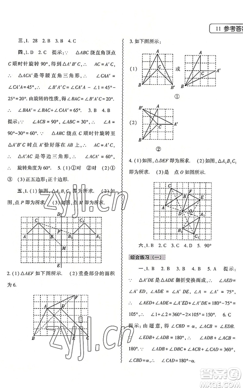 大象出版社2022數(shù)學(xué)暑假作業(yè)本七年級(jí)華東師大版答案