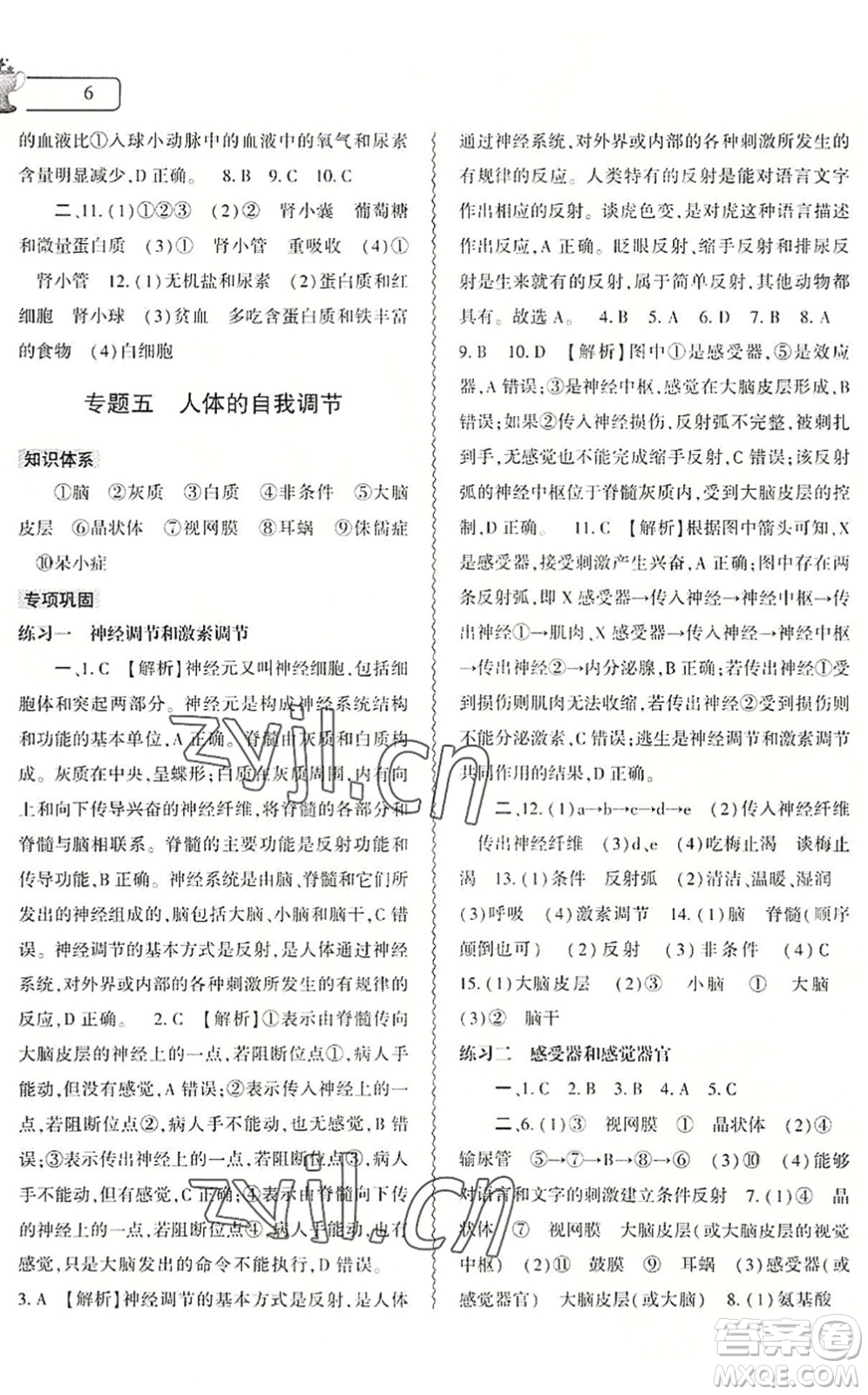 大象出版社2022生物暑假作業(yè)本七年級北師大版答案
