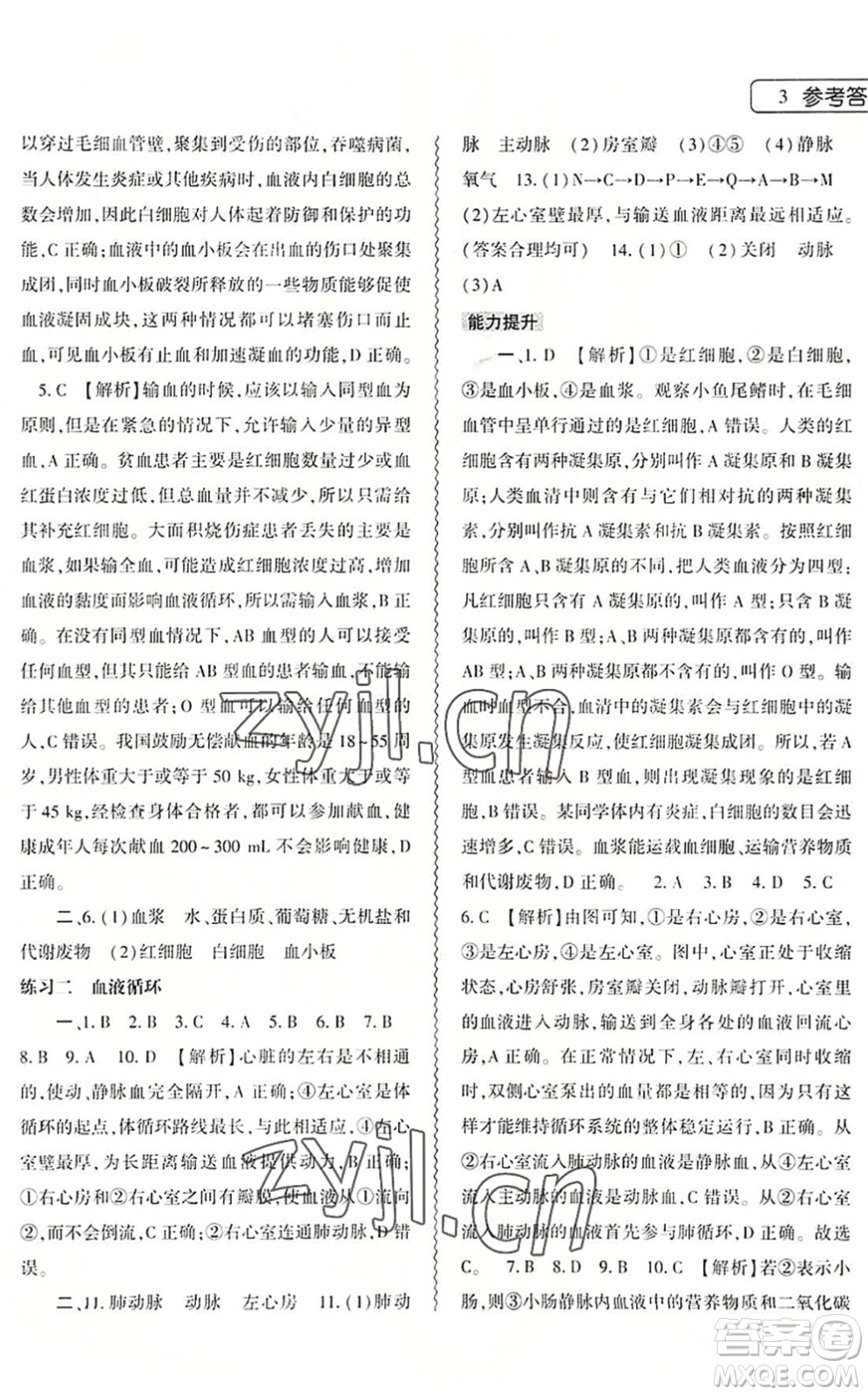 大象出版社2022生物暑假作業(yè)本七年級北師大版答案