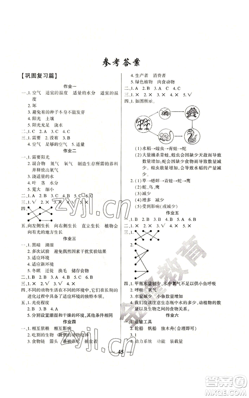 新疆文化出版社2022開心暑假作業(yè)五年級科學(xué)教科版參考答案