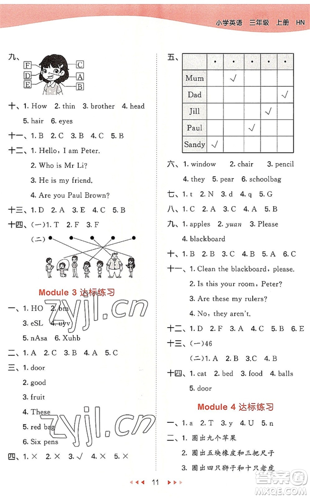教育科學出版社2022秋季53天天練三年級英語上冊HN滬教牛津版答案