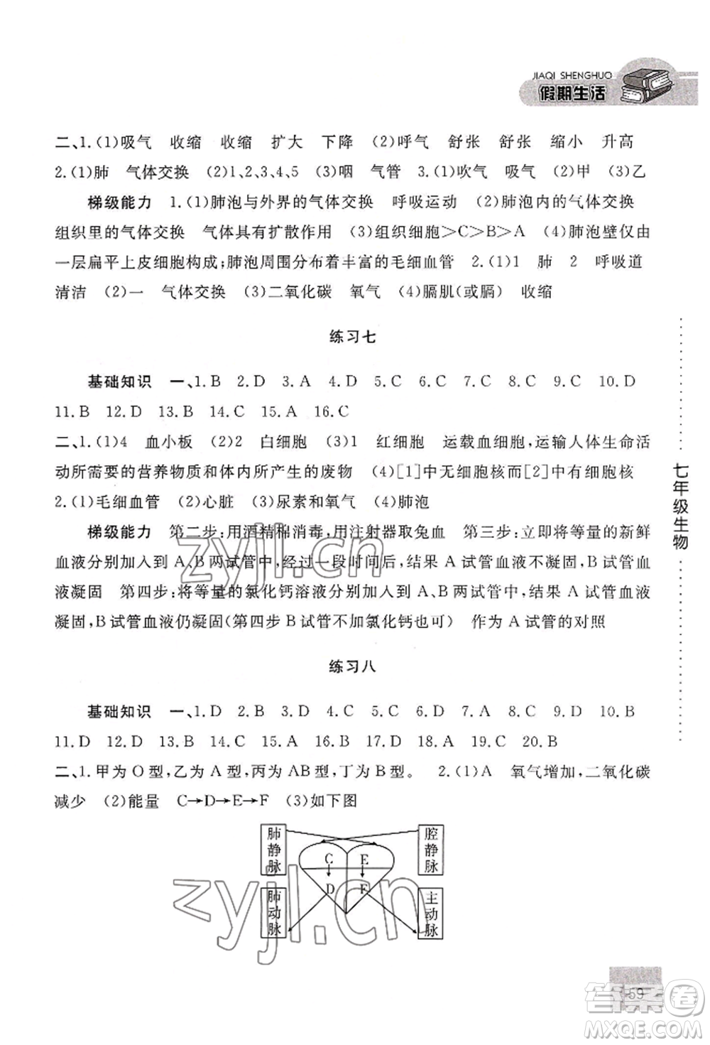 河北人民出版社2022假期生活七年級暑假生物通用版參考答案