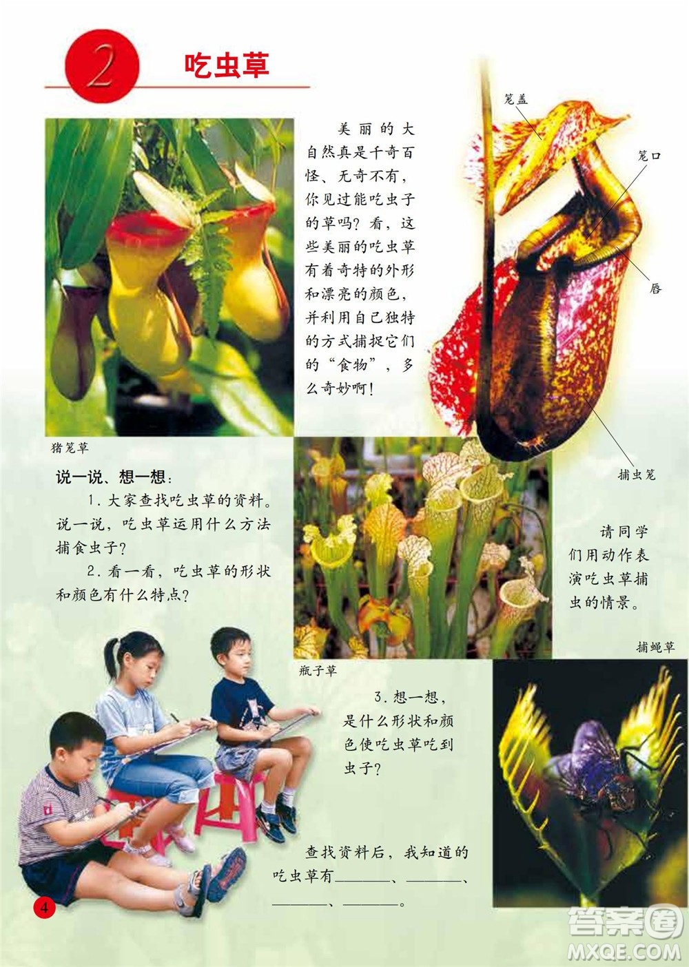 二年級下冊美術(shù)人美版電子課本