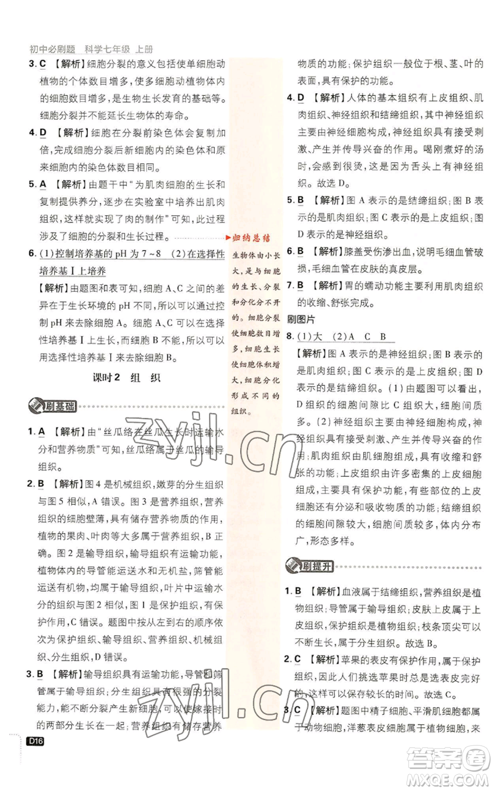 新世界出版社2023初中必刷題七年級(jí)上冊(cè)科學(xué)浙教版參考答案