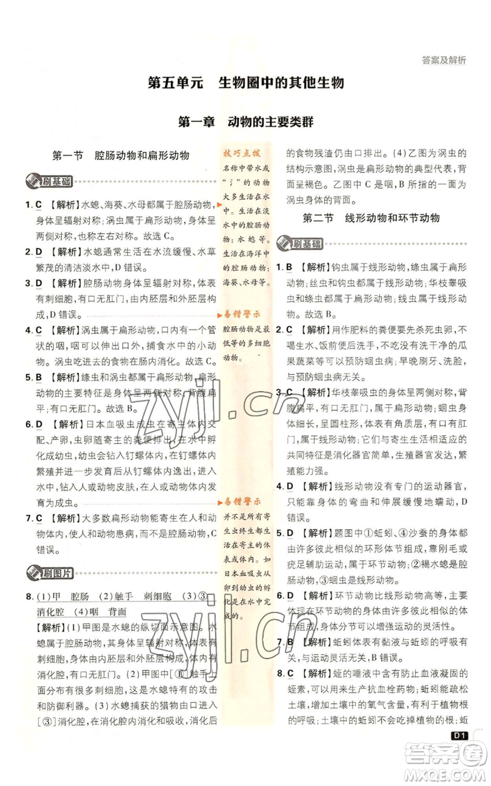 開明出版社2023初中必刷題八年級上冊生物人教版參考答案