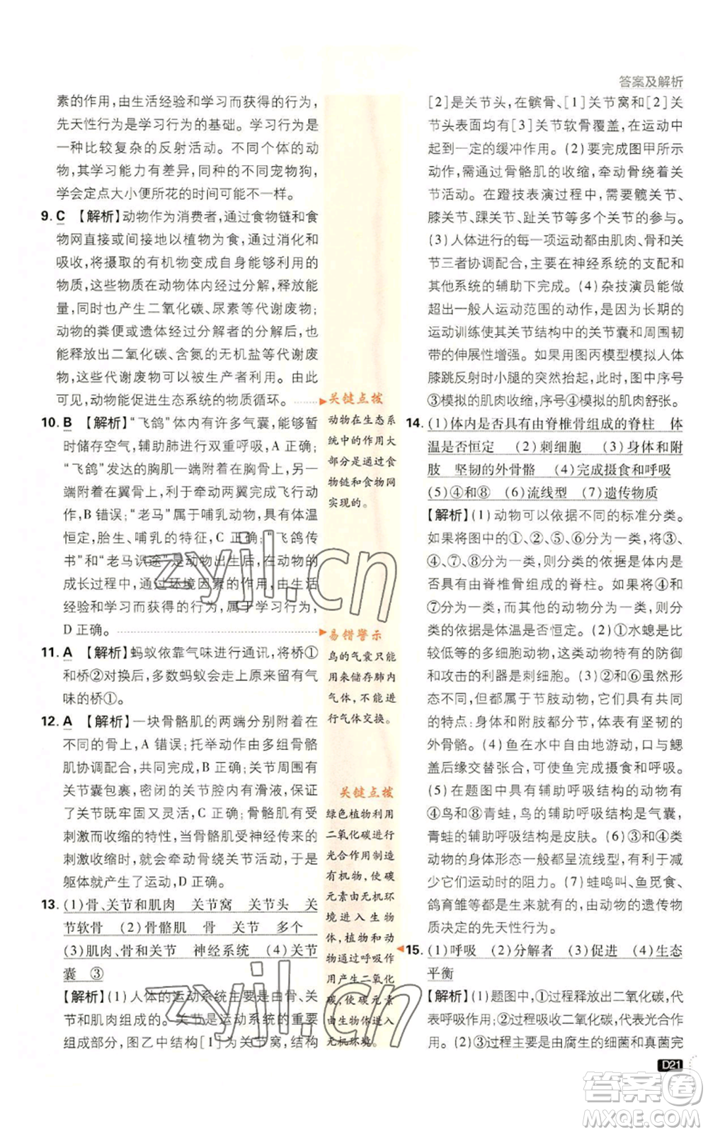 開明出版社2023初中必刷題八年級上冊生物人教版參考答案