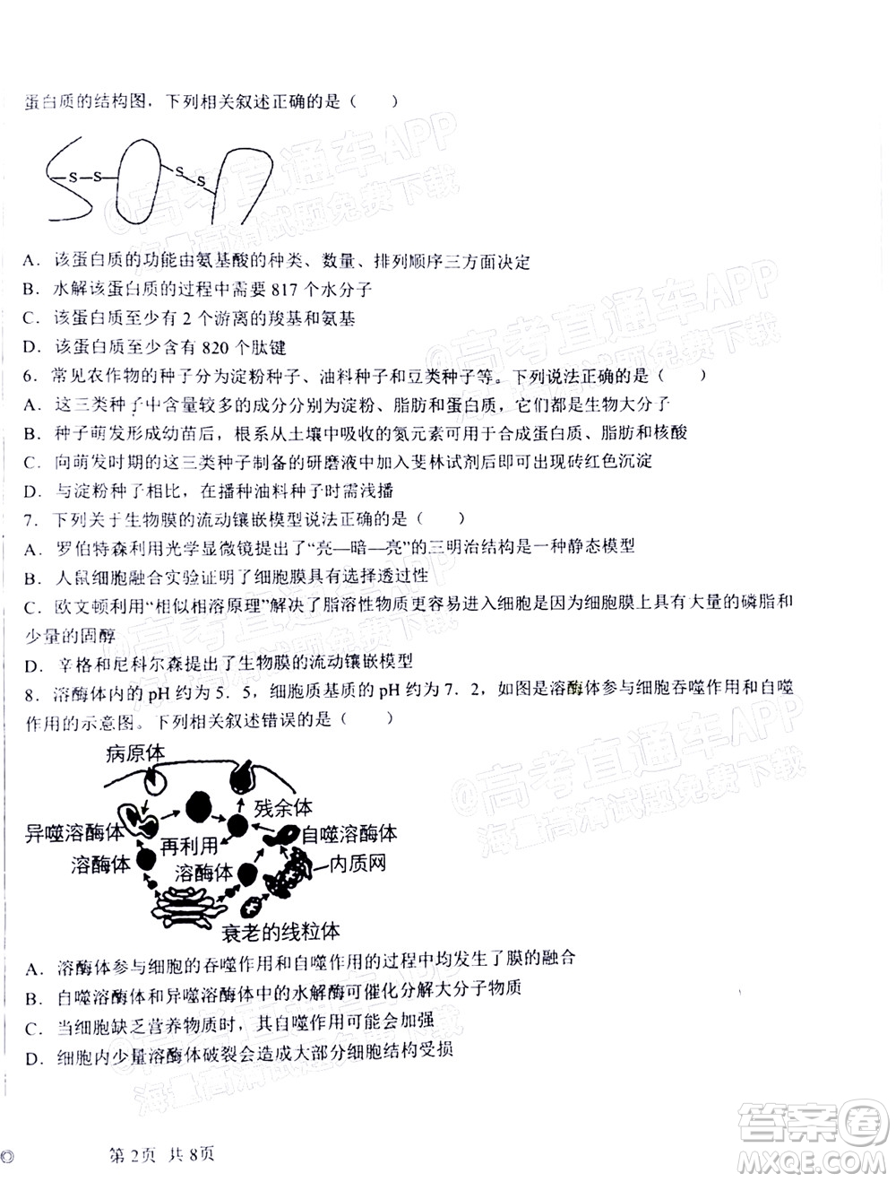 2023屆河北深州中學(xué)高三年級第一次月考生物試題及答案