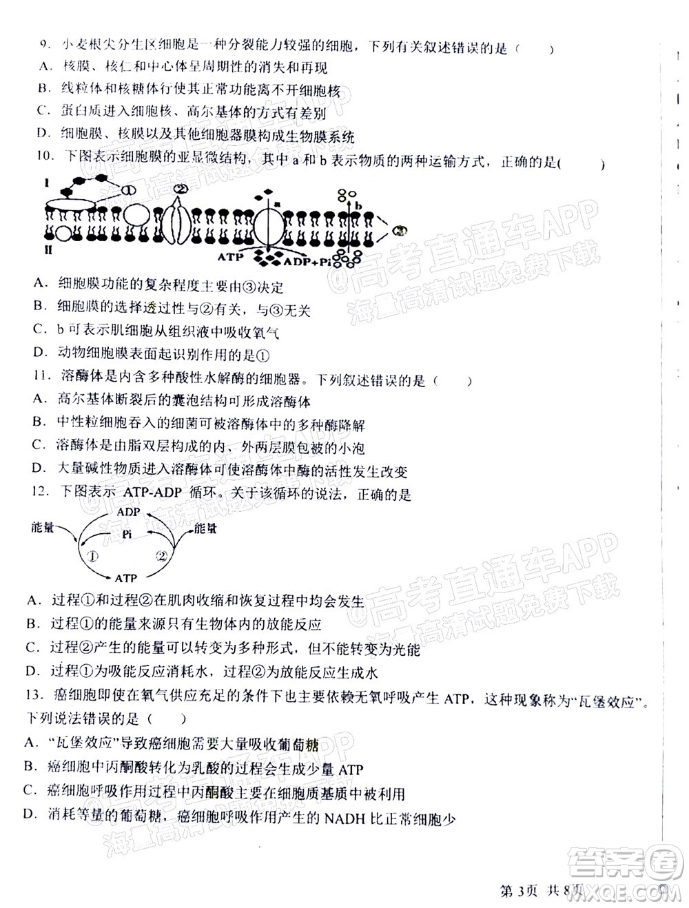 2023屆河北深州中學(xué)高三年級第一次月考生物試題及答案