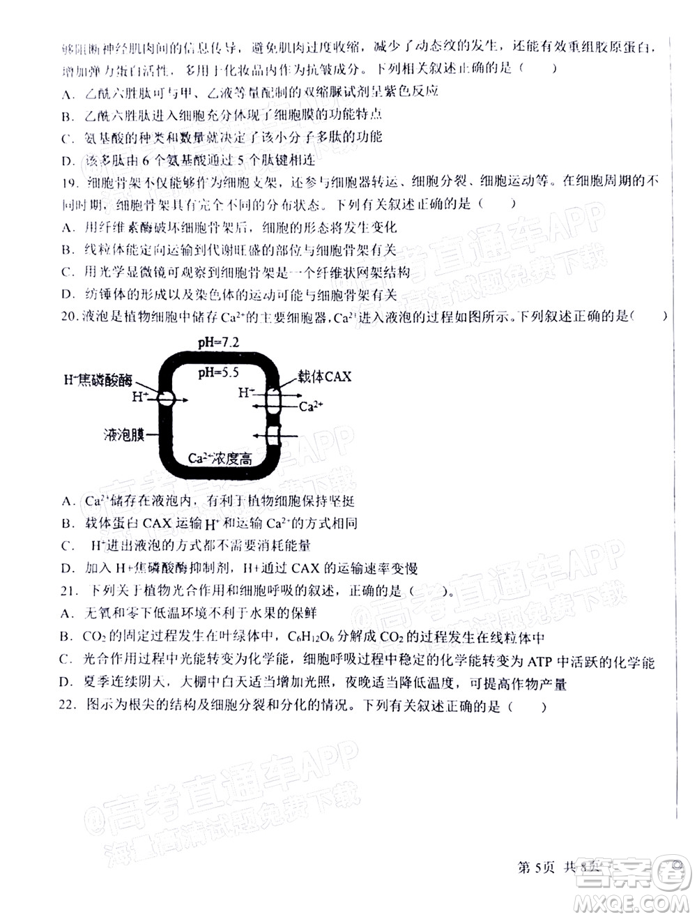 2023屆河北深州中學(xué)高三年級第一次月考生物試題及答案