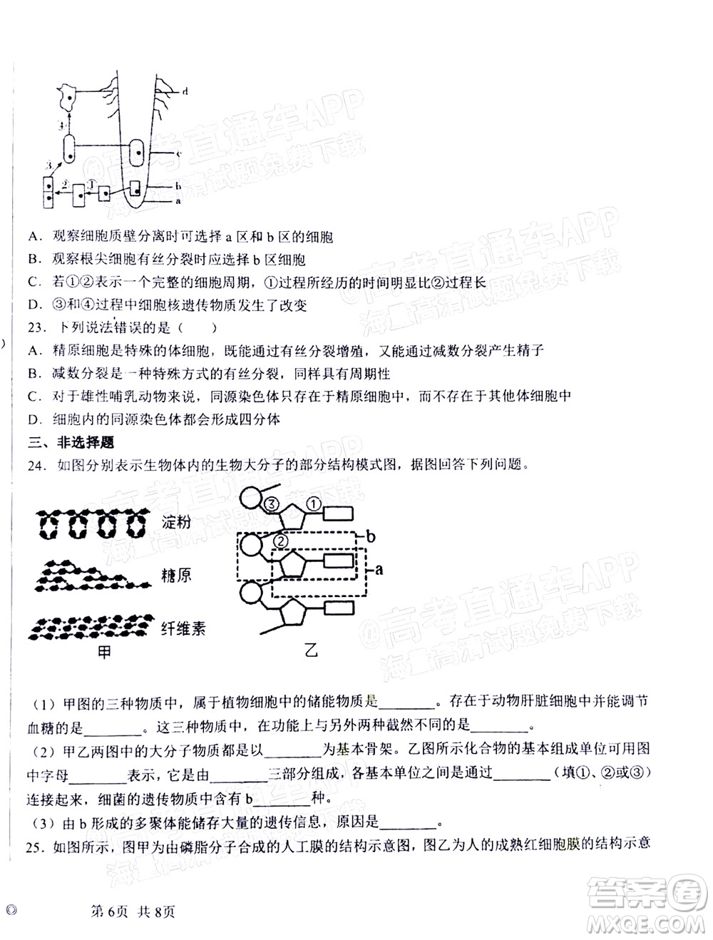 2023屆河北深州中學(xué)高三年級第一次月考生物試題及答案