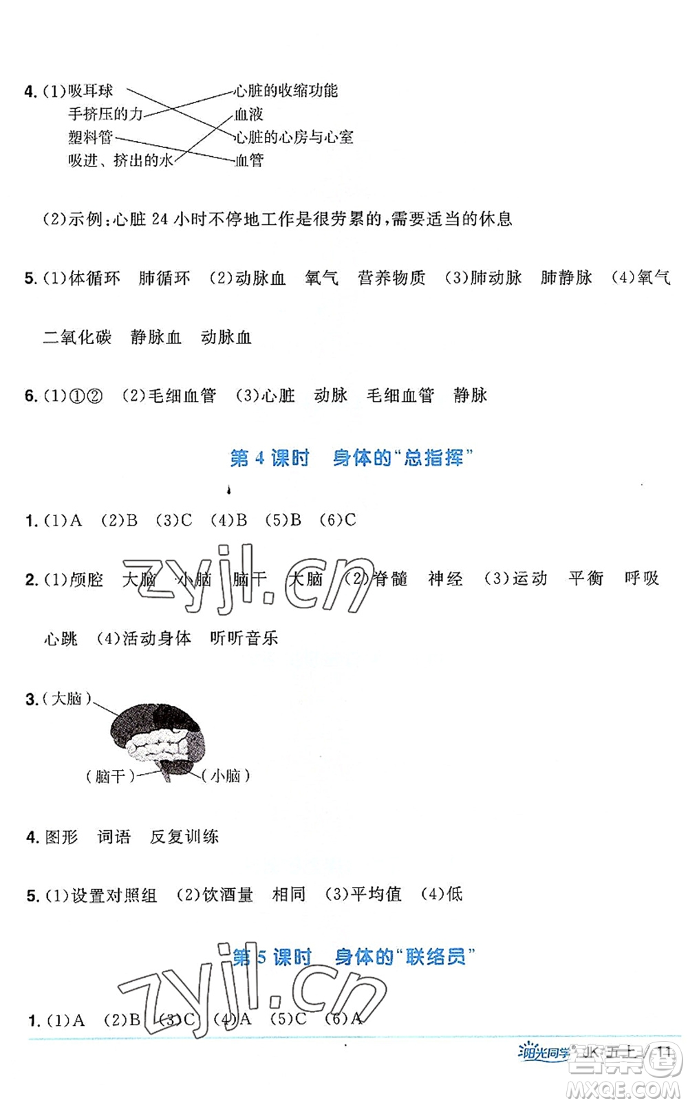 江西教育出版社2022陽光同學(xué)課時(shí)優(yōu)化作業(yè)五年級(jí)科學(xué)上冊(cè)JK教科版答案