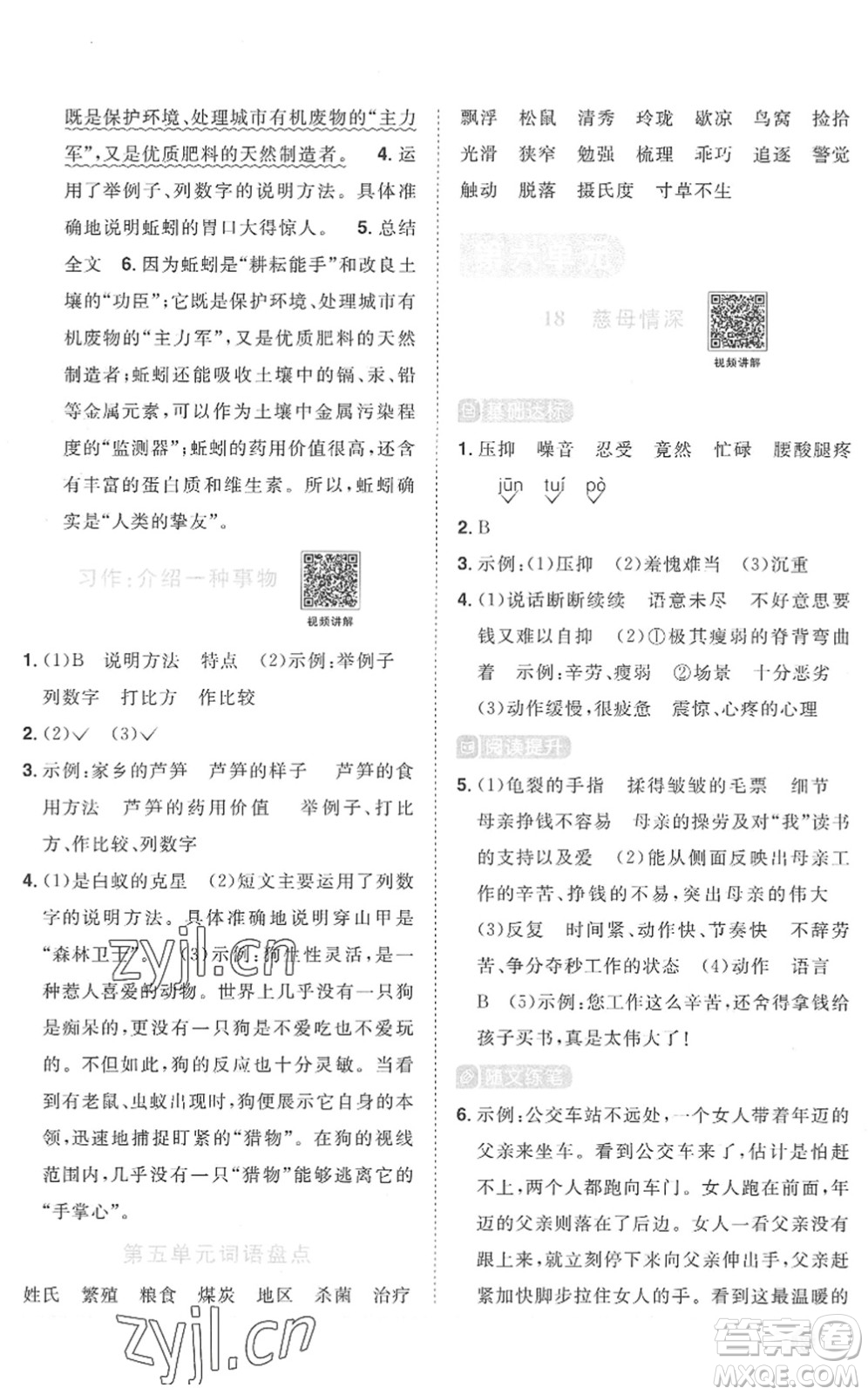 江西教育出版社2022陽光同學(xué)課時(shí)優(yōu)化作業(yè)五年級(jí)語文上冊(cè)RJ人教版菏澤專版答案