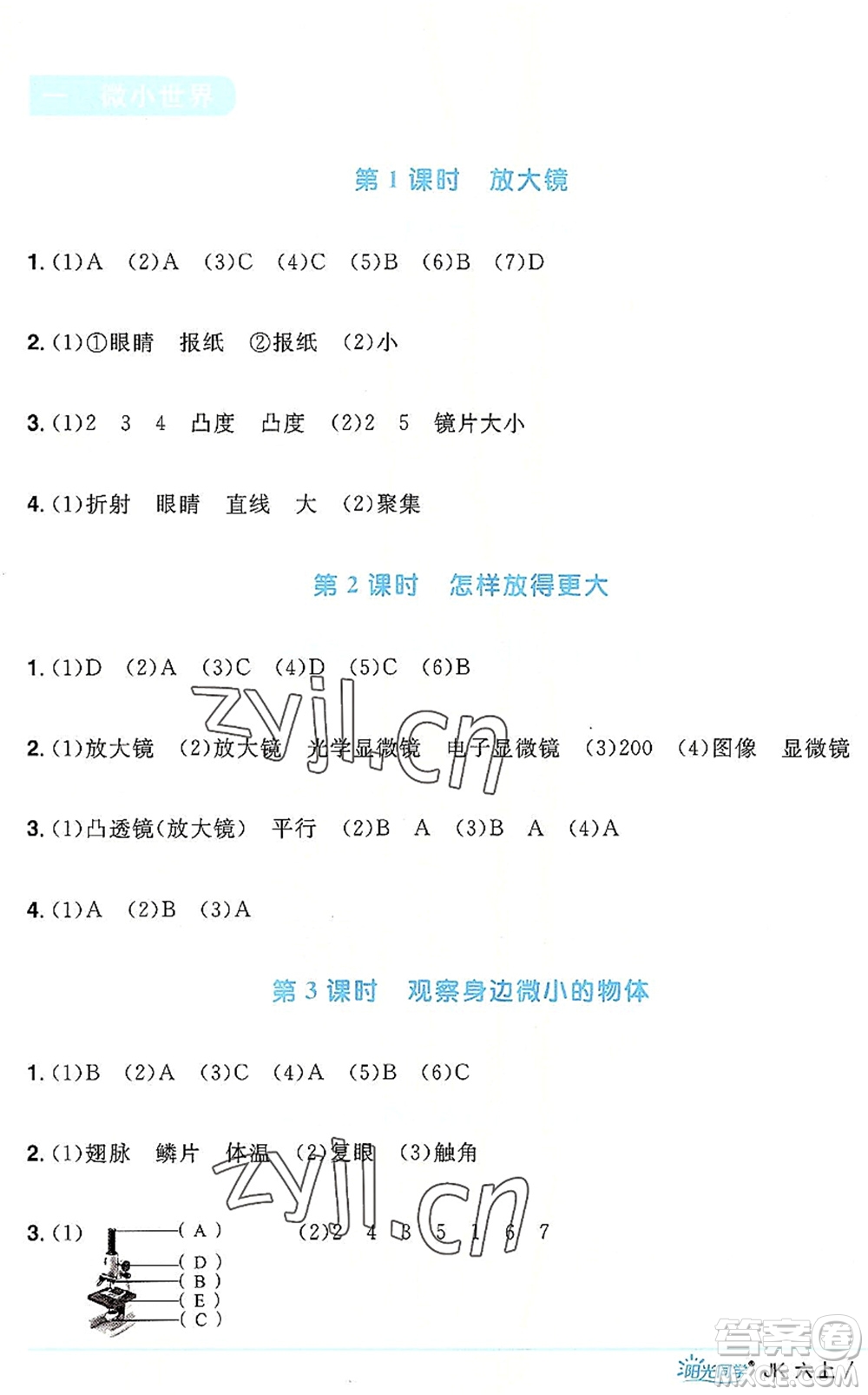 江西教育出版社2022陽光同學課時優(yōu)化作業(yè)六年級科學上冊JK教科版答案