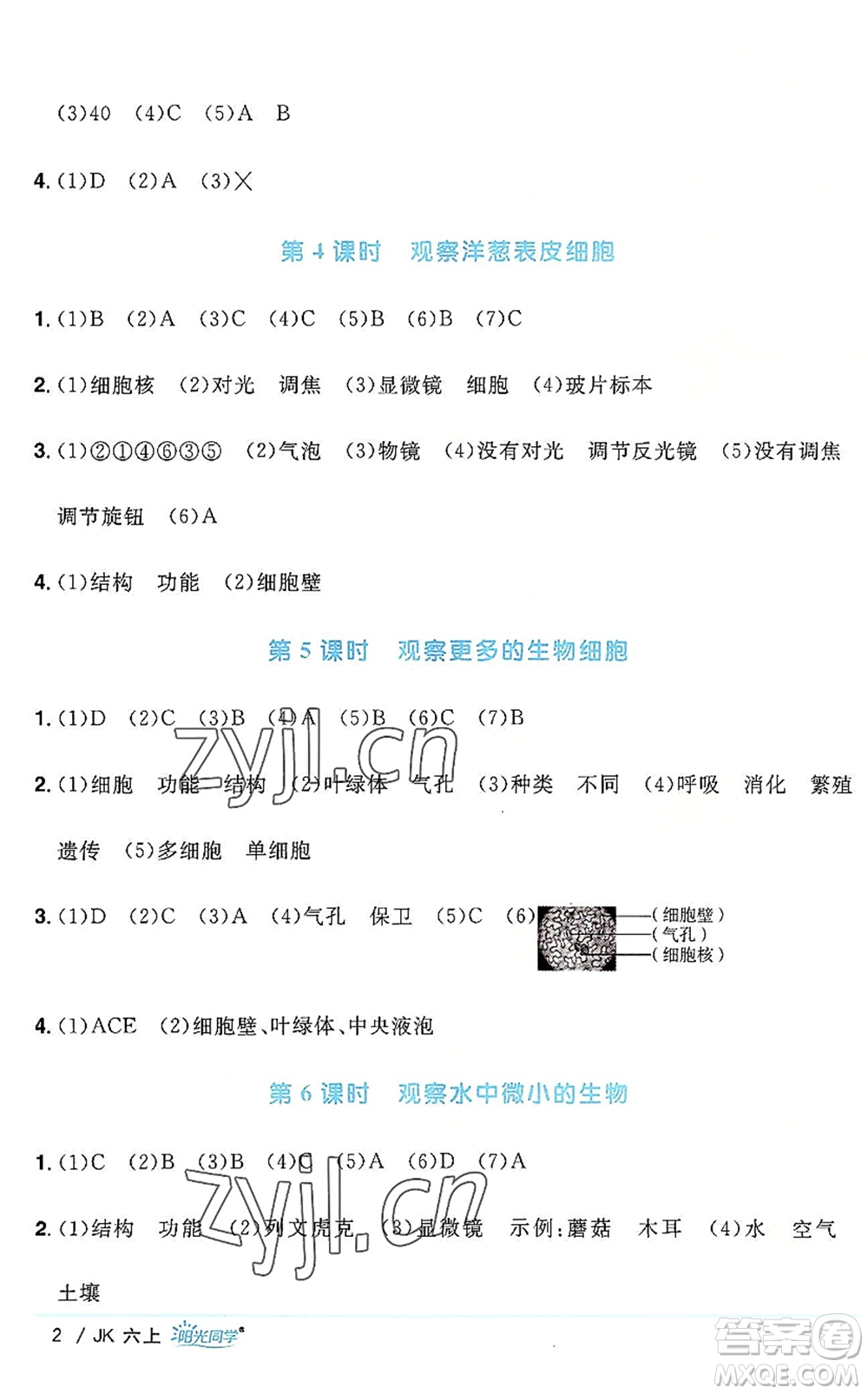 江西教育出版社2022陽光同學課時優(yōu)化作業(yè)六年級科學上冊JK教科版答案