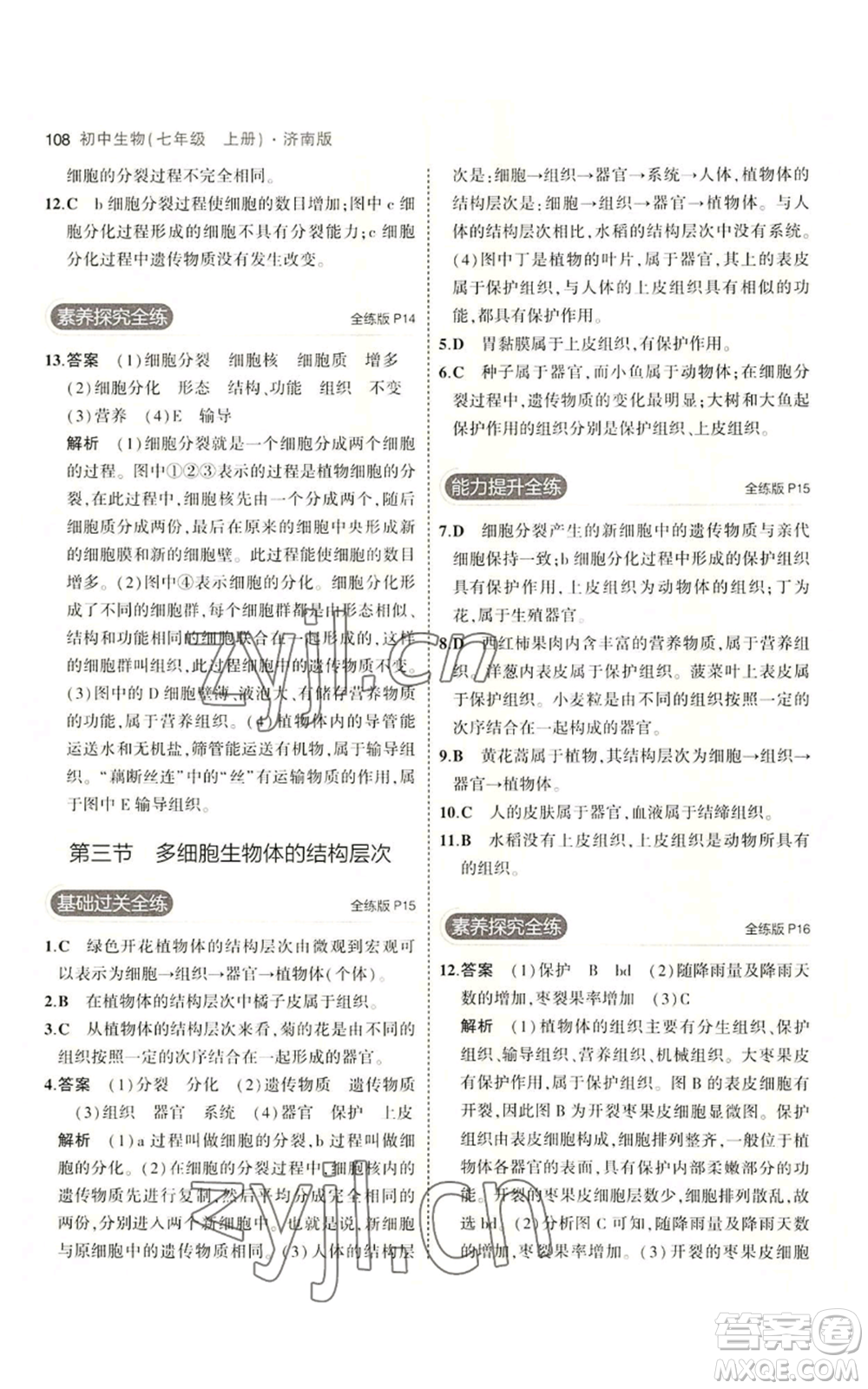 教育科學出版社2023年5年中考3年模擬七年級上冊生物濟南版參考答案