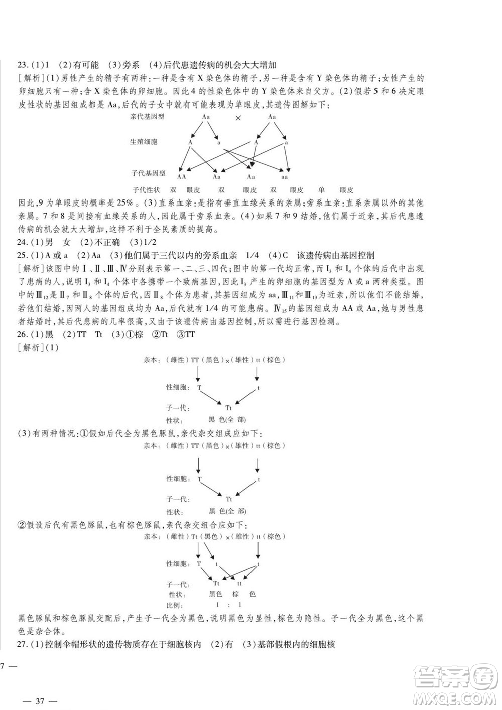 河北大學出版社2022黃岡全優(yōu)AB卷生物八年級上冊濟南版答案