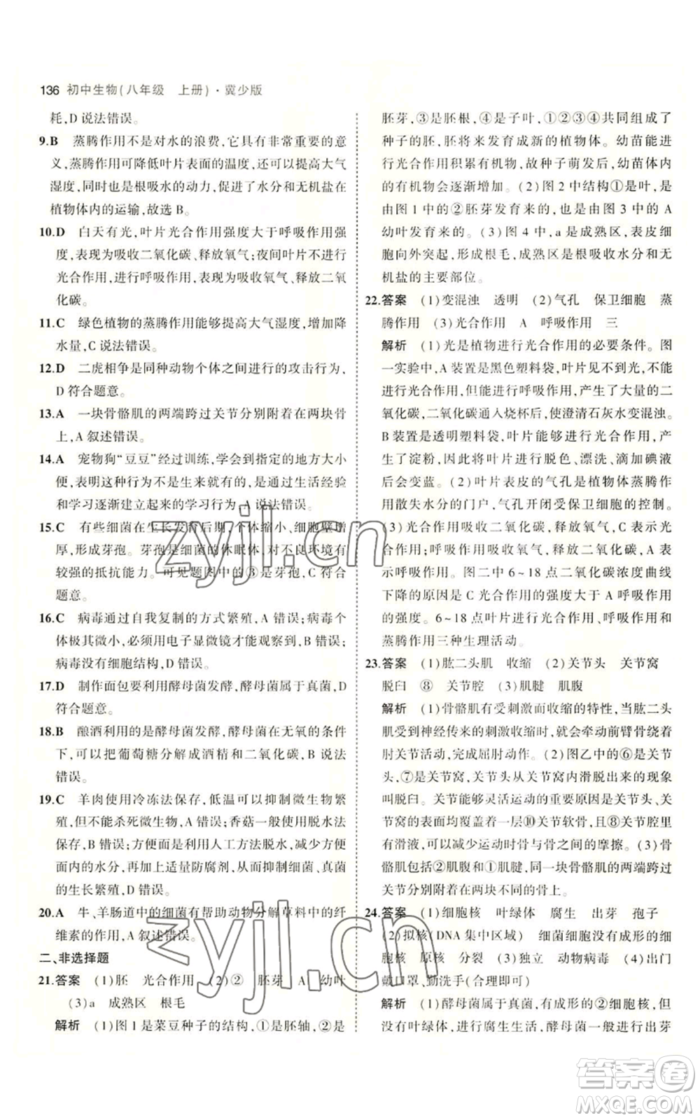 教育科學(xué)出版社2023年5年中考3年模擬八年級(jí)上冊(cè)生物冀少版參考答案
