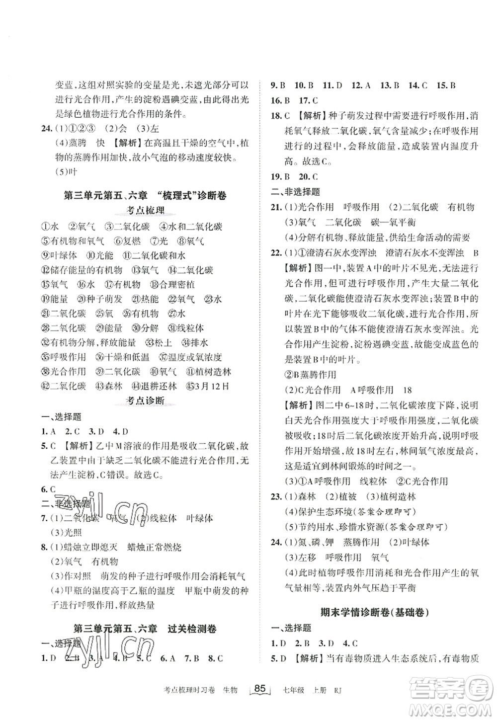 江西人民出版社2022王朝霞考點(diǎn)梳理時(shí)習(xí)卷七年級生物上冊RJ人教版答案