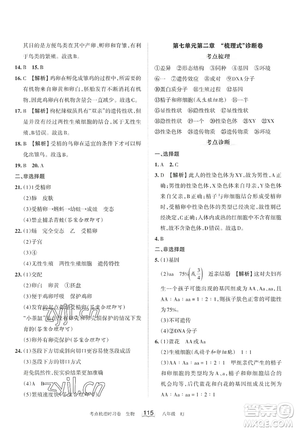 江西人民出版社2022王朝霞考點(diǎn)梳理時(shí)習(xí)卷八年級生物上冊RJ人教版答案