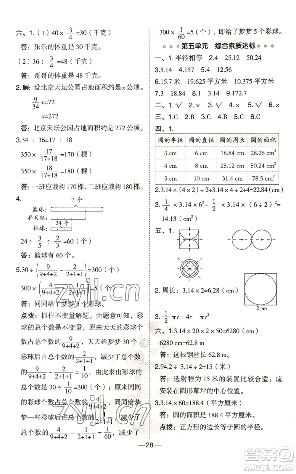 吉林教育出版社2022秋季綜合應(yīng)用創(chuàng)新題典中點六年級上冊數(shù)學(xué)青島版參考答案