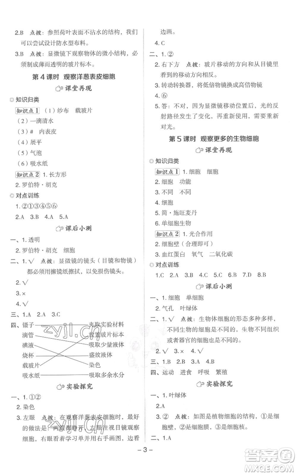 山西教育出版社2022秋季綜合應(yīng)用創(chuàng)新題典中點六年級上冊科學(xué)教科版參考答案