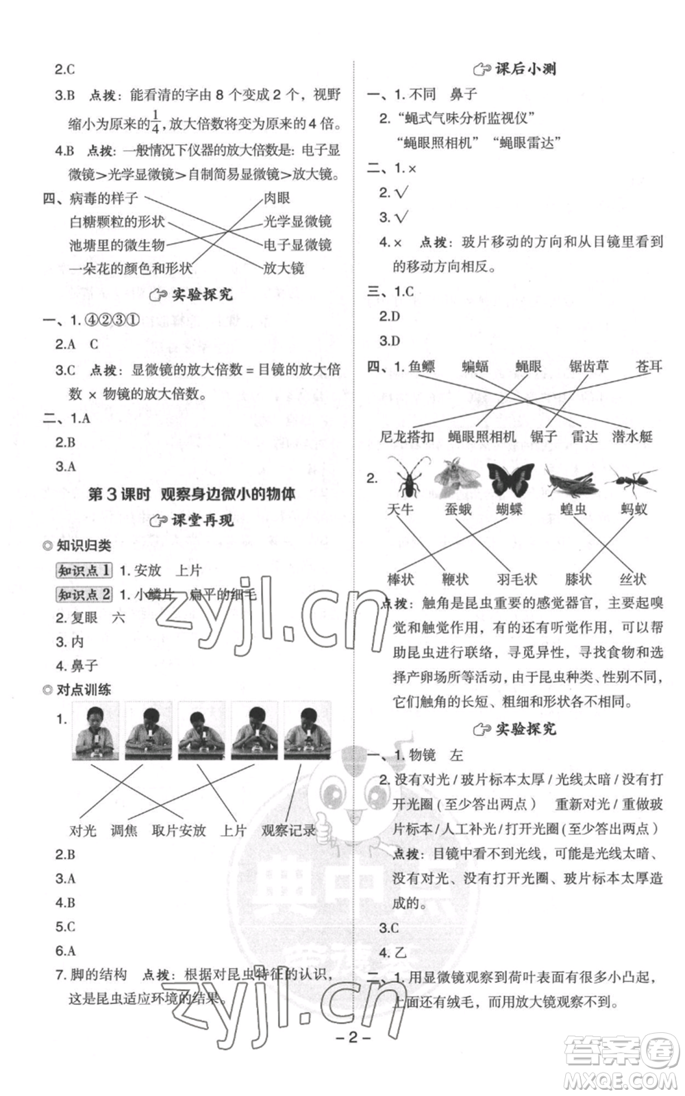 山西教育出版社2022秋季綜合應(yīng)用創(chuàng)新題典中點六年級上冊科學(xué)教科版參考答案