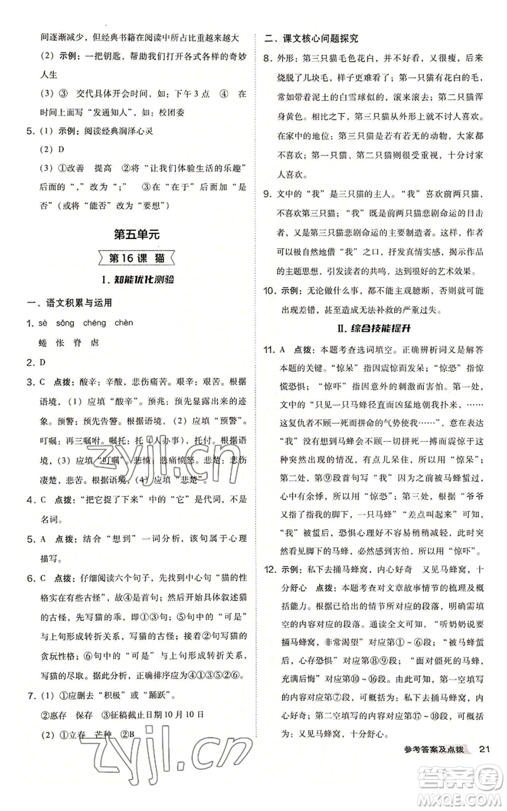 吉林教育出版社2022秋季綜合應用創(chuàng)新題典中點提分練習冊七年級上冊語文人教版安徽專版參考答案