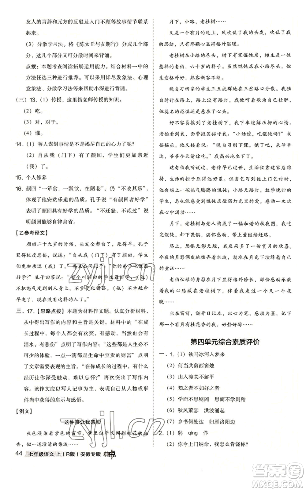 吉林教育出版社2022秋季綜合應用創(chuàng)新題典中點提分練習冊七年級上冊語文人教版安徽專版參考答案