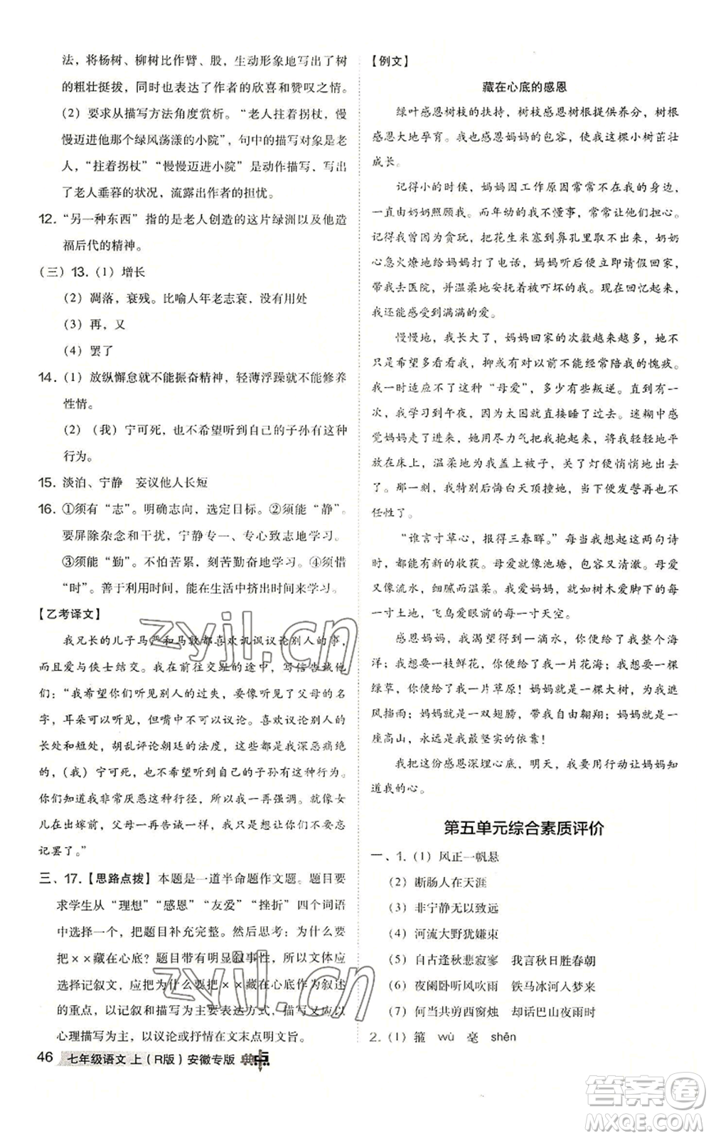 吉林教育出版社2022秋季綜合應用創(chuàng)新題典中點提分練習冊七年級上冊語文人教版安徽專版參考答案