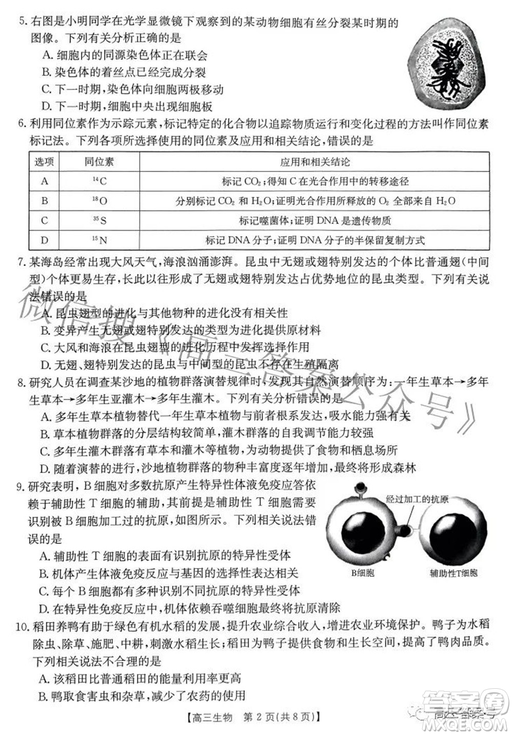 2022-2023年度河南省高三年級入學摸底考試一生物試題及答案