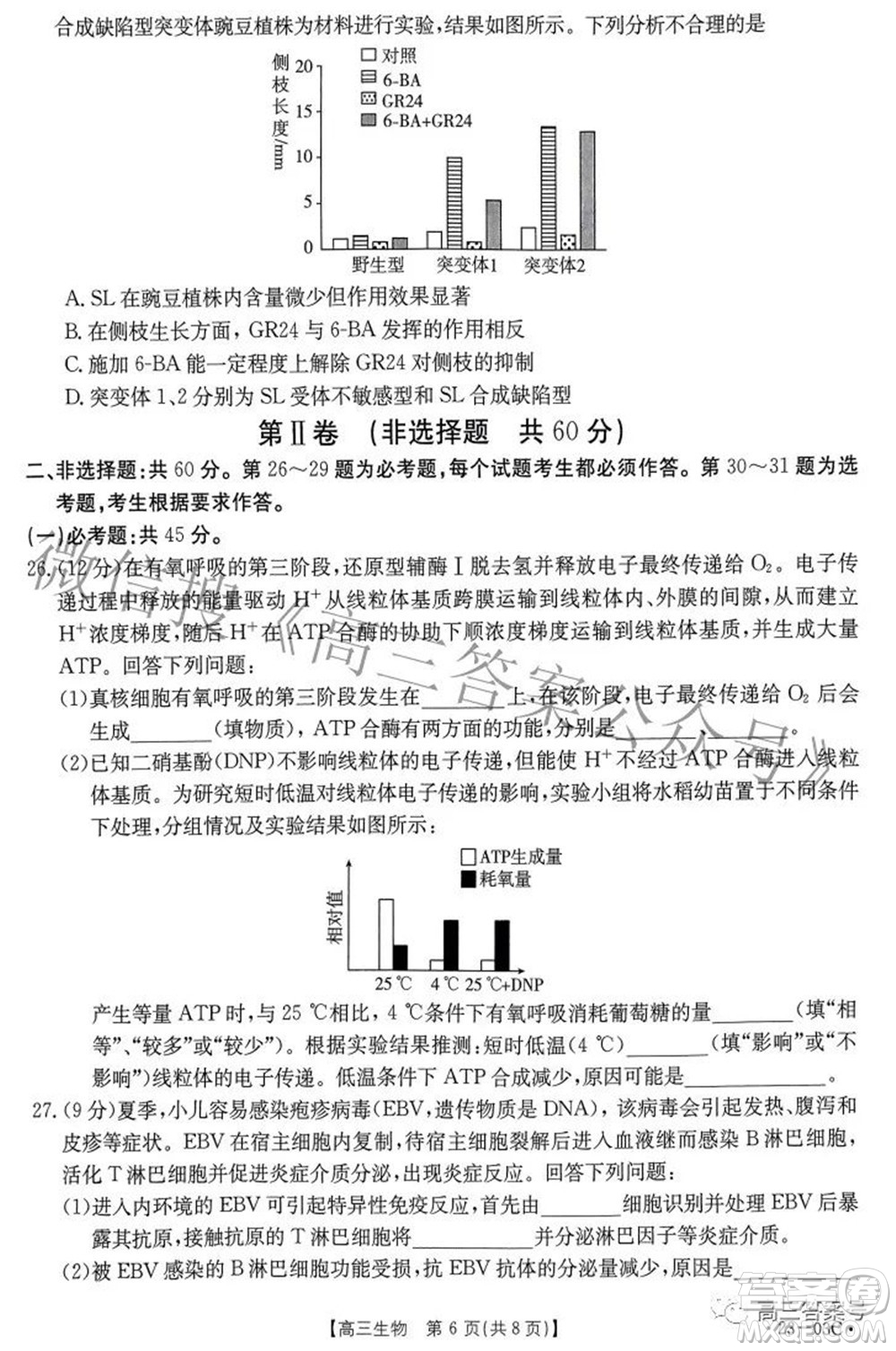 2022-2023年度河南省高三年級入學摸底考試一生物試題及答案