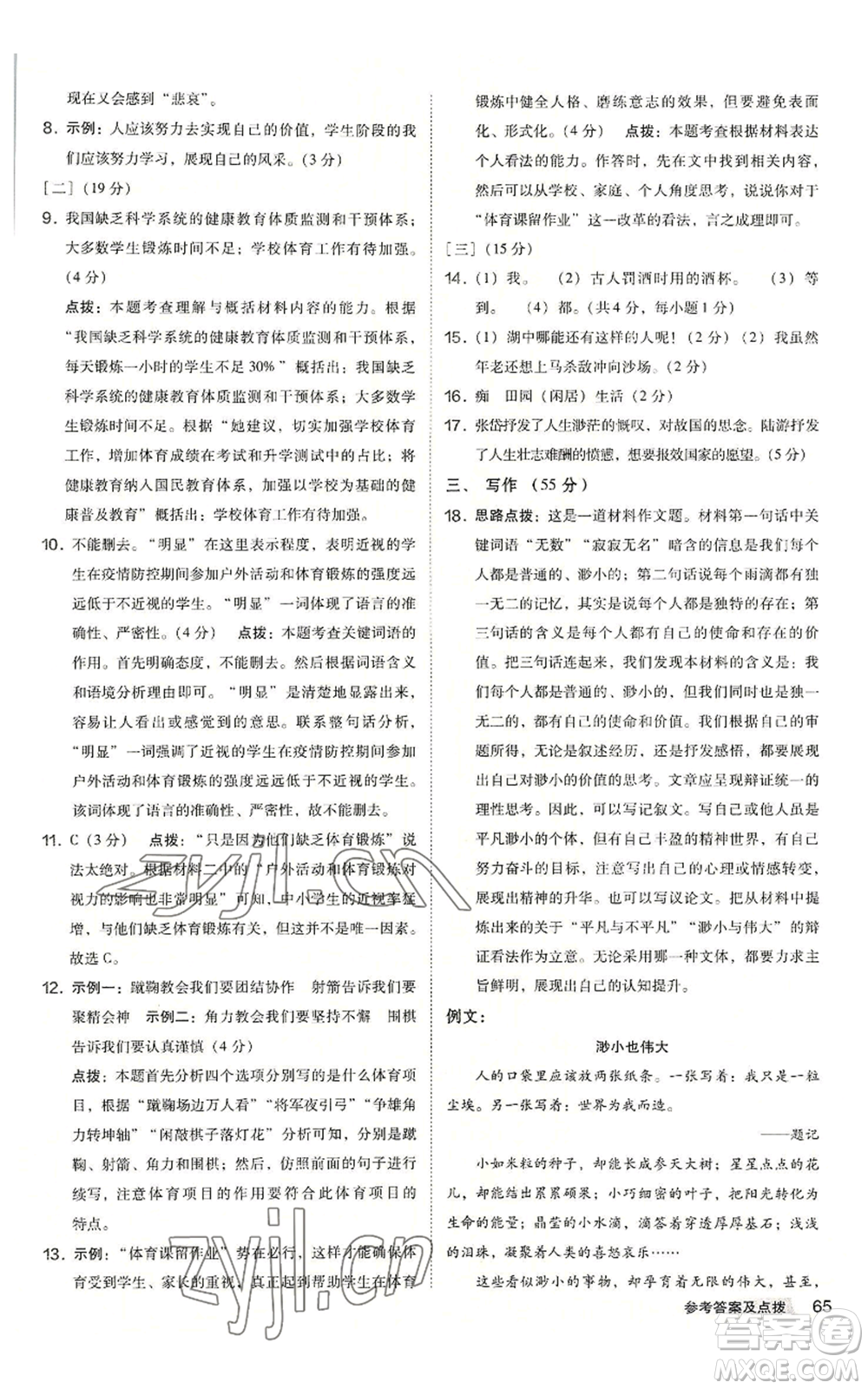 吉林教育出版社2022秋季綜合應(yīng)用創(chuàng)新題典中點(diǎn)提分練習(xí)冊九年級語文人教版安徽專版參考答案
